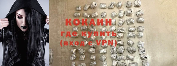 гашик Касимов