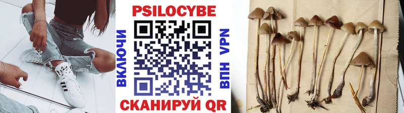 Псилоцибиновые грибы Psilocybine cubensis  гидра сайт  Старый Крым 